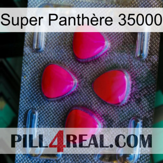Super Panthère 35000 13